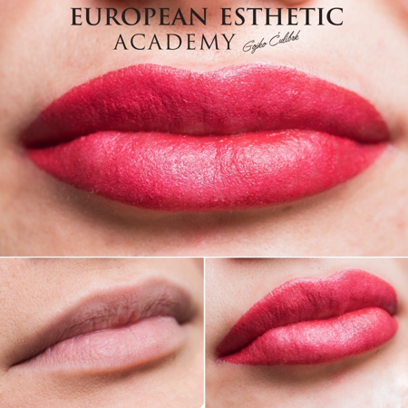 Picture of LIPS COMBO ONLINE COURSE